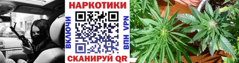 Какие есть наркотики Дедовск Каннабис  БУТИРАТ  Амфетамин  Меф мяу мяу  Cocaine  ГАШИШ  Alpha PVP 