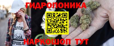 прущие грибы Бугуруслан