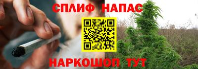 крисы Бузулук