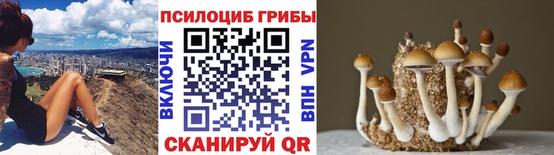 Галлюциногенные грибы GOLDEN TEACHER  ОМГ ОМГ ONION  Дедовск 