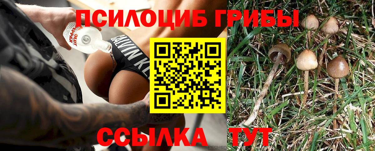 Галлюциногенные грибы GOLDEN TEACHER Дедовск