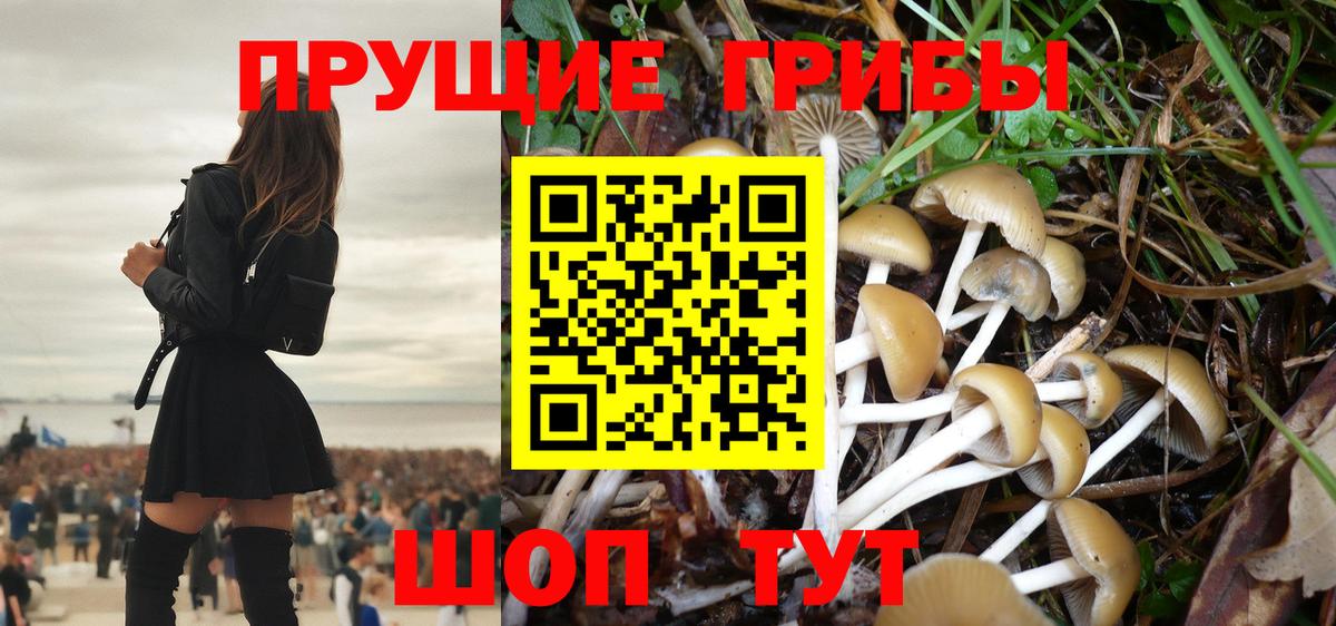 Дедовск  Галлюциногенные грибы прущие грибы  Вход с VPN 